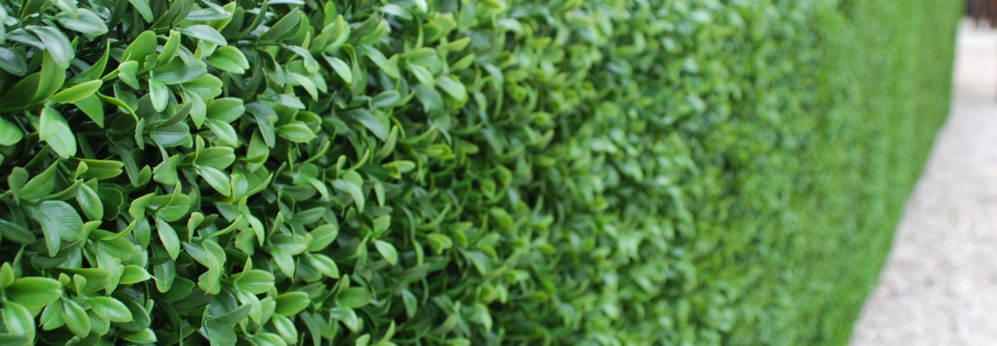 Artificial Green Walls