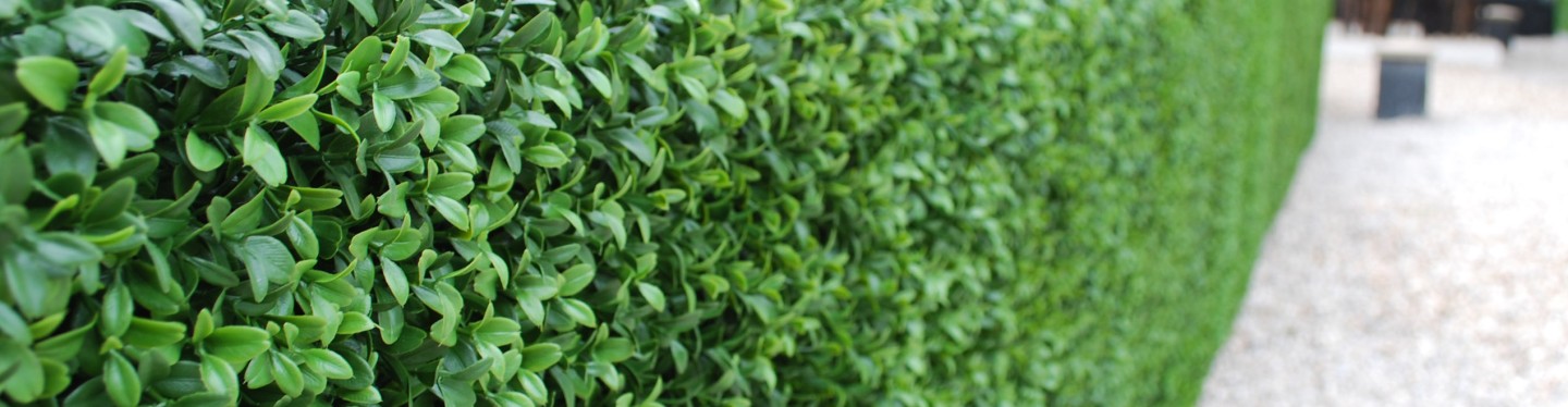 Artificial Green Walls