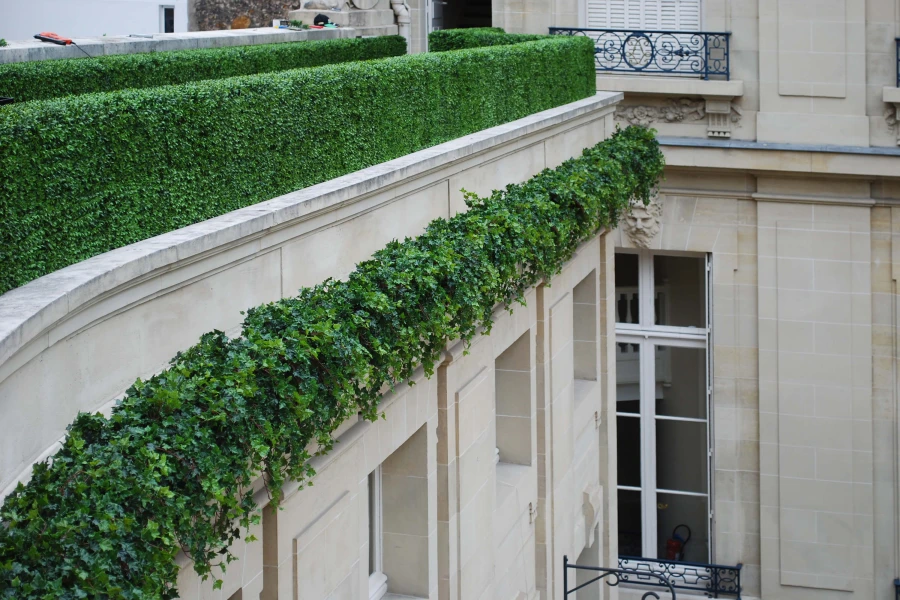 artificial hedges installed at Paris Rue Boissiere