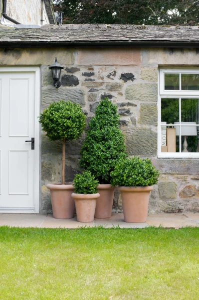 potted artificial topiary