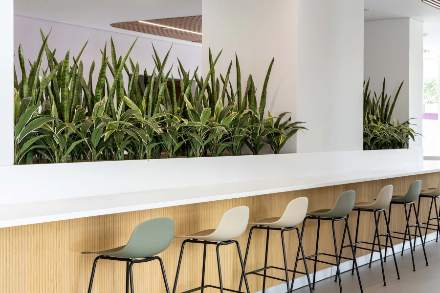 hanging plants from ceiling