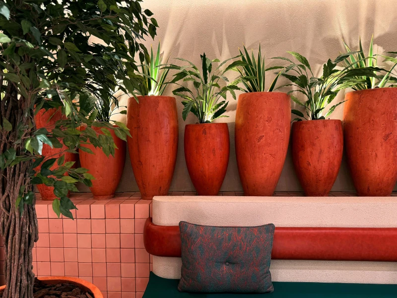 plant pots along a shelf
