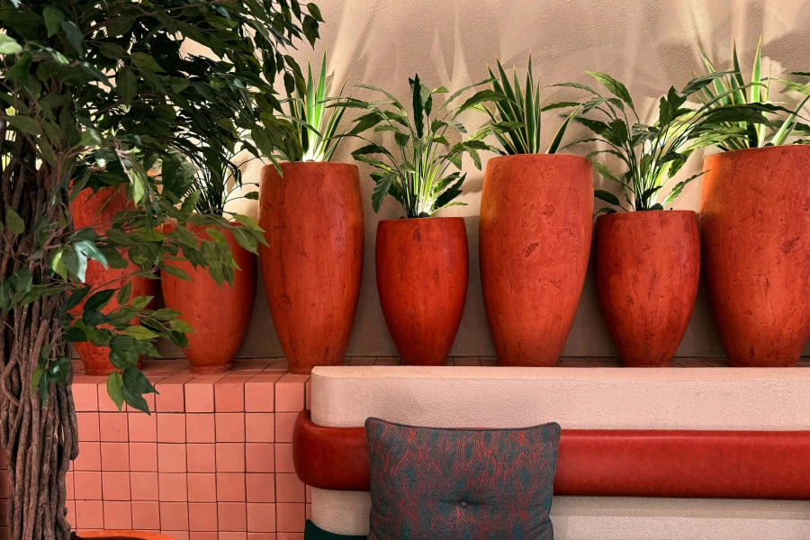 plant pots along a shelf