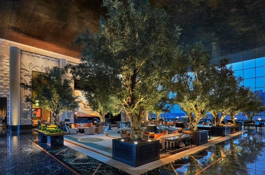 olive trees in fibreglass planters in luxury hotel