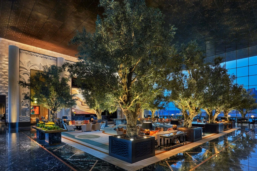 olive trees in fibreglass planters in luxury hotel