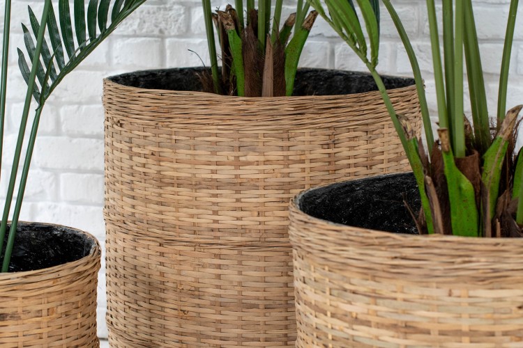 Plant Pots & Planters