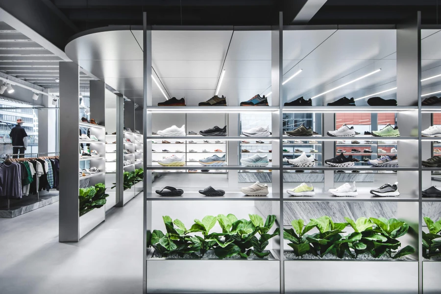 Fiddle Leaf plants in retail store