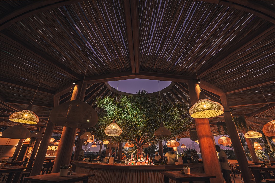 UV resistant artificial olive tree installed in an outside beach bar