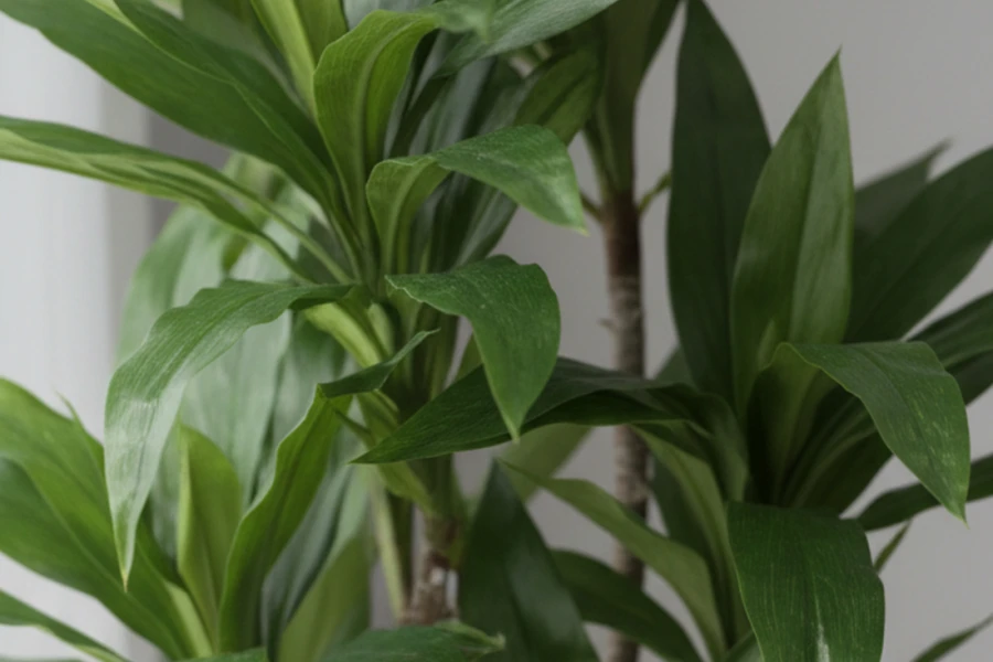 Close up of an artificial leaf