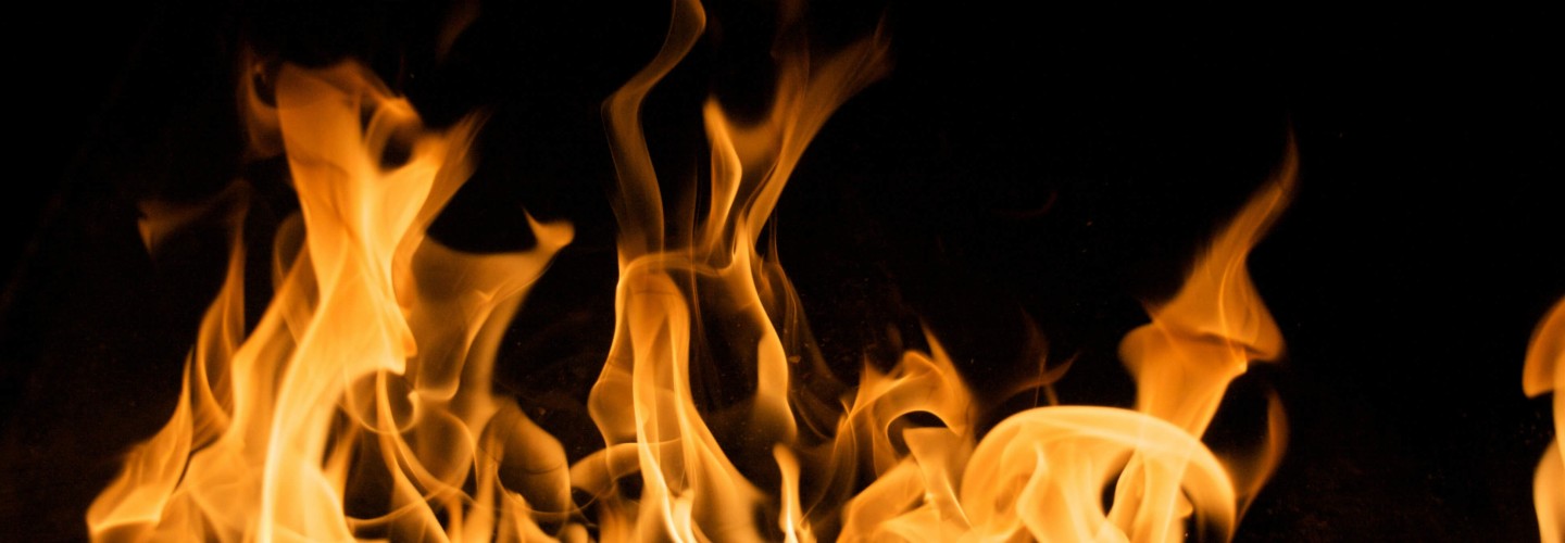 fire retardant hanging plants in restaurant