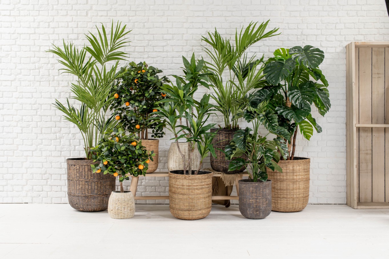 artificial trees and plants in pots
