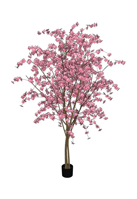 Pink Cherry Blossom Tree