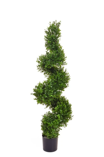 Image of Buxus Spiral - 90cm