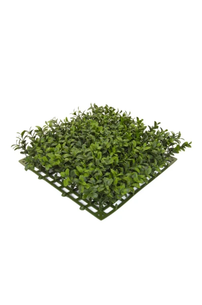 Image of Buxus Top Panel - 25cm x 25cm