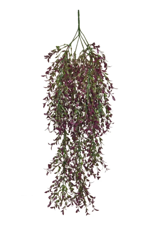 Image of Hanging Ivy Fern - 85cm
