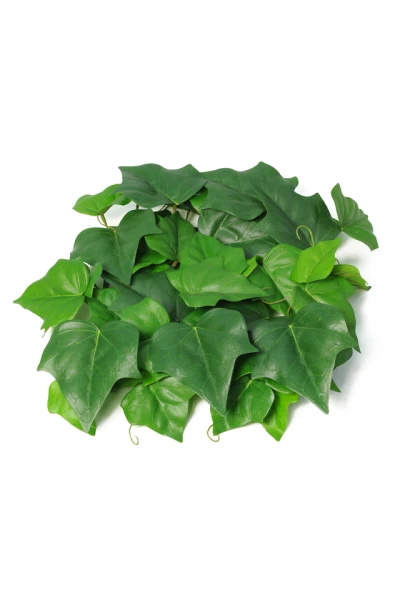 Image of Ivy Mat - 25cm x 25cm