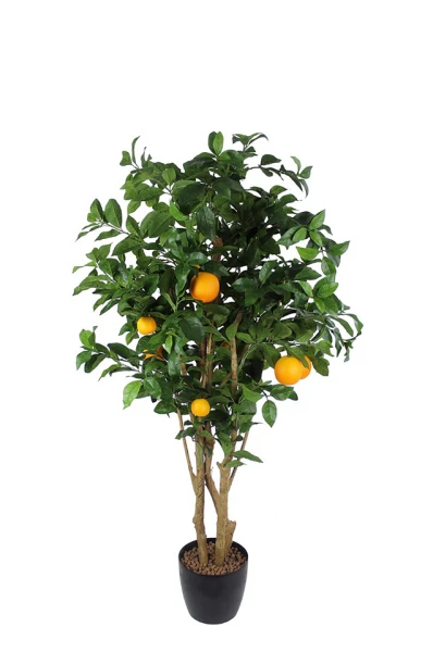 Image of Orange Tree - 150cm
