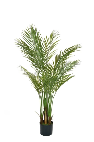 Image of Palm Tree - 150cm