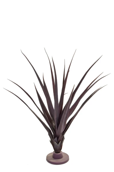 Image of Pandanus - 96cm