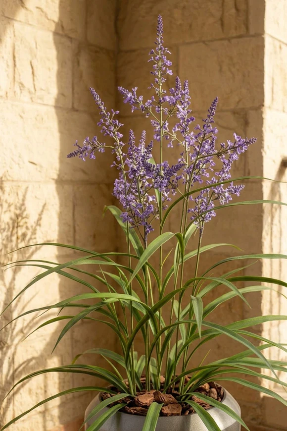 Outdoor Artificial Lavender Grass in Slate Earle Dumpy Pot - 110cm