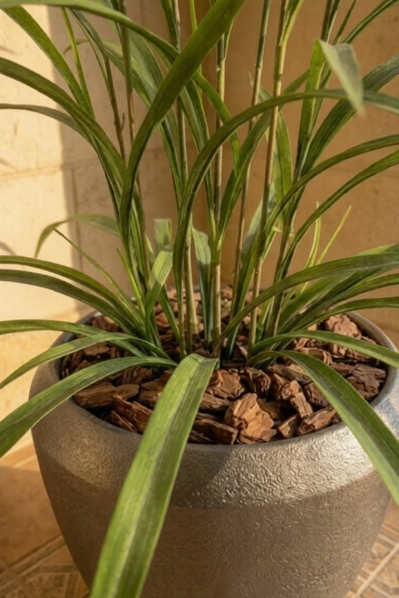 Outdoor Artificial Lavender Grass in Slate Earle Dumpy Pot - 110cm