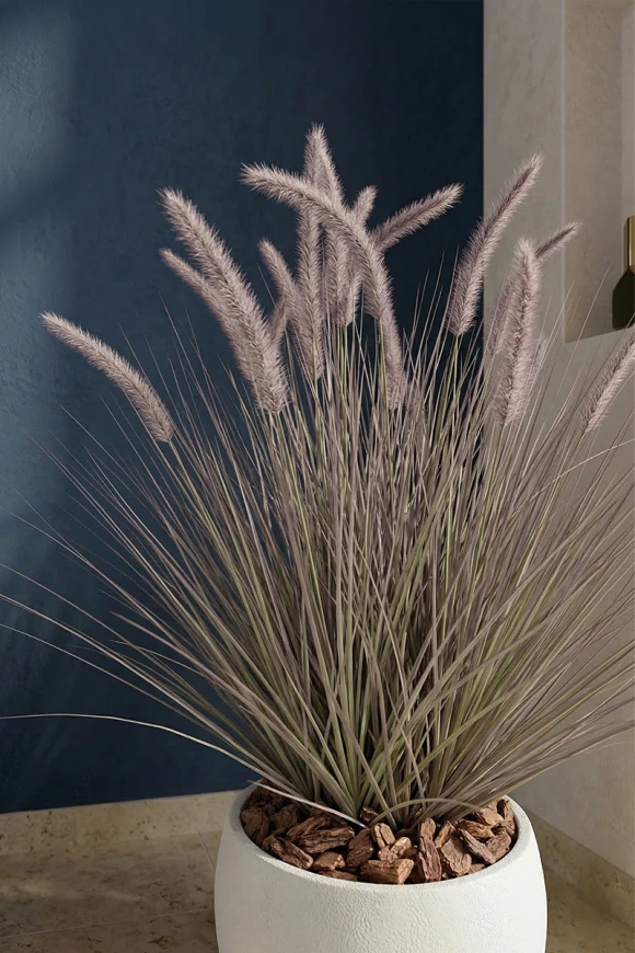 Artificial Dogtail Grass in White Easington Pot - 110cm