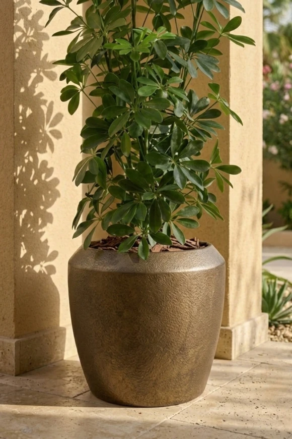Outdoor Artificial Pittosporum in Mocha Earle Dumpy Pot - 120cm