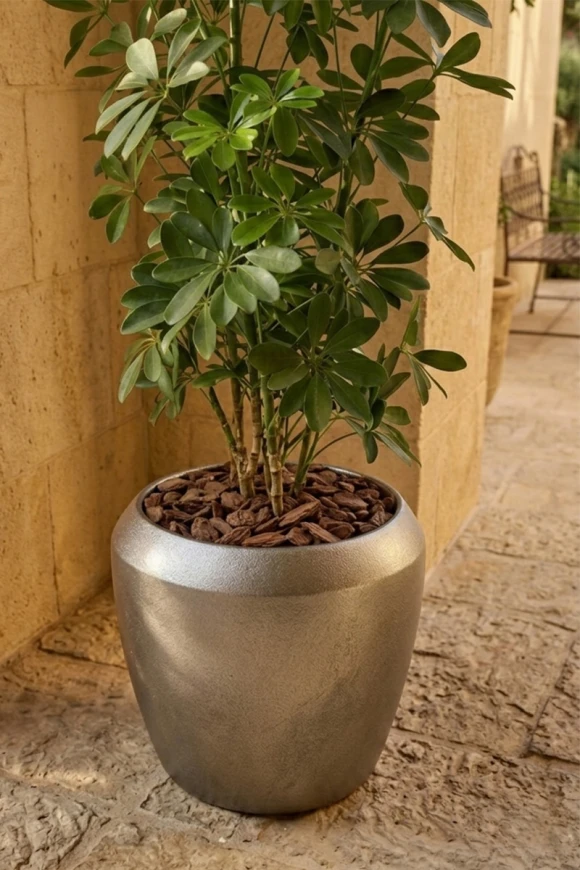 Outdoor Artificial Pittosporum in Slate Earle Dumpy Pot - 120cm