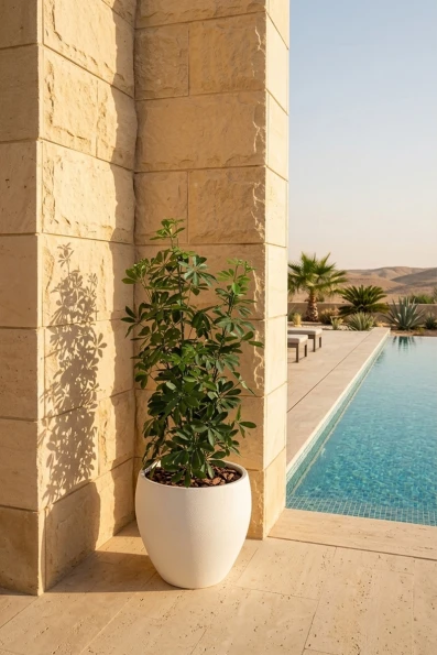 Outdoor Artificial Pittosporum in White Easington Pot - 120cm