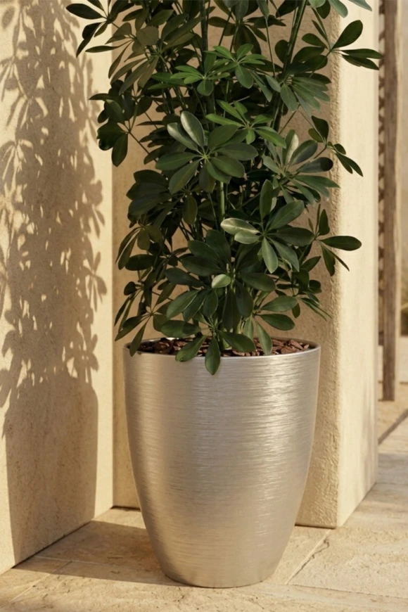 Outdoor Artificial Pittosporum in Silver Buxley Pot - 120cm