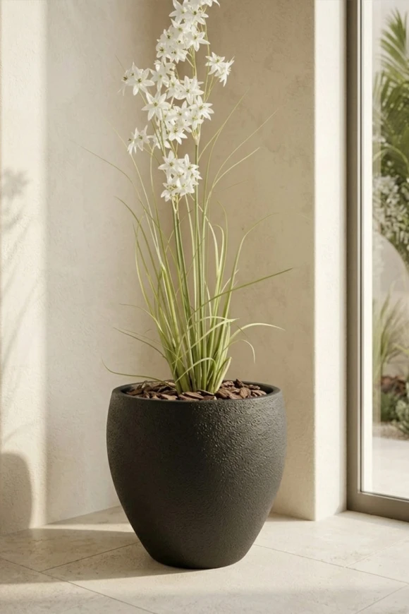 Artificial Allium Grass in Black Easington Pot - 130cm