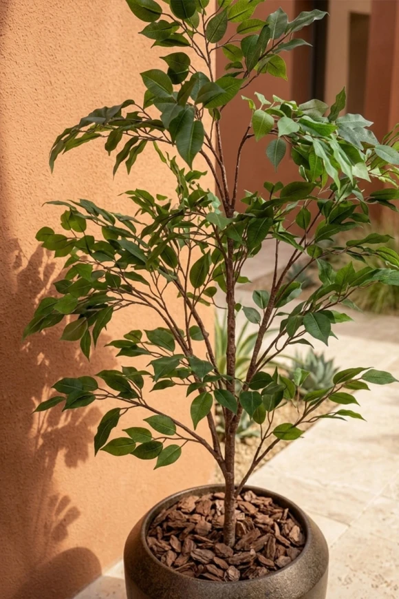 Outdoor Artificial Ficus Tree in Mocha Earle Dumpy Pot - 140cm