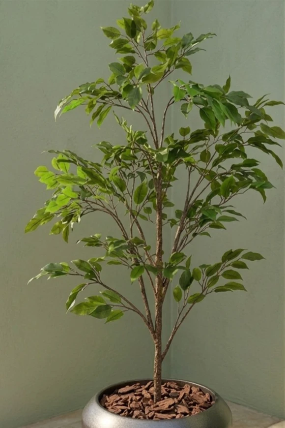Outdoor Artificial Ficus Tree in Slate Earle Dumpy Pot - 140cm