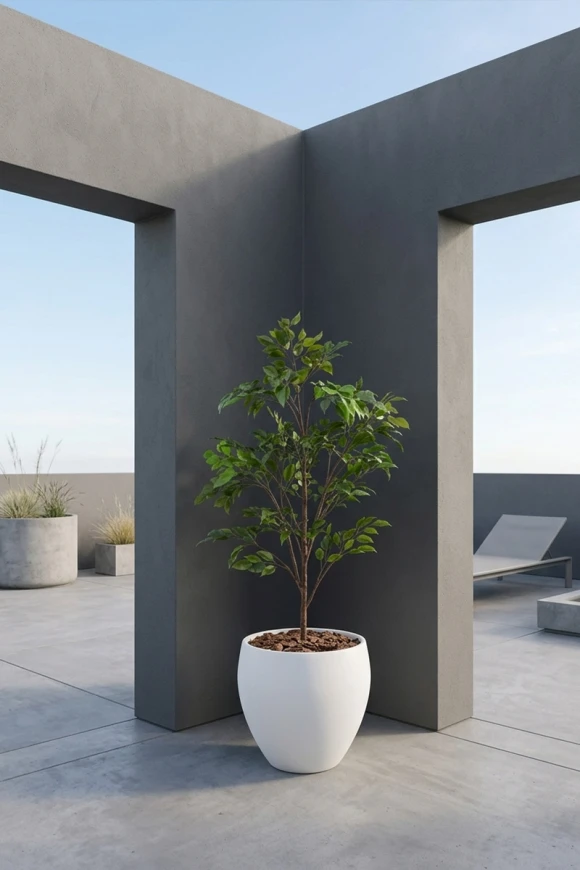Outdoor Artificial Ficus Tree in White Easington Pot - 140cm