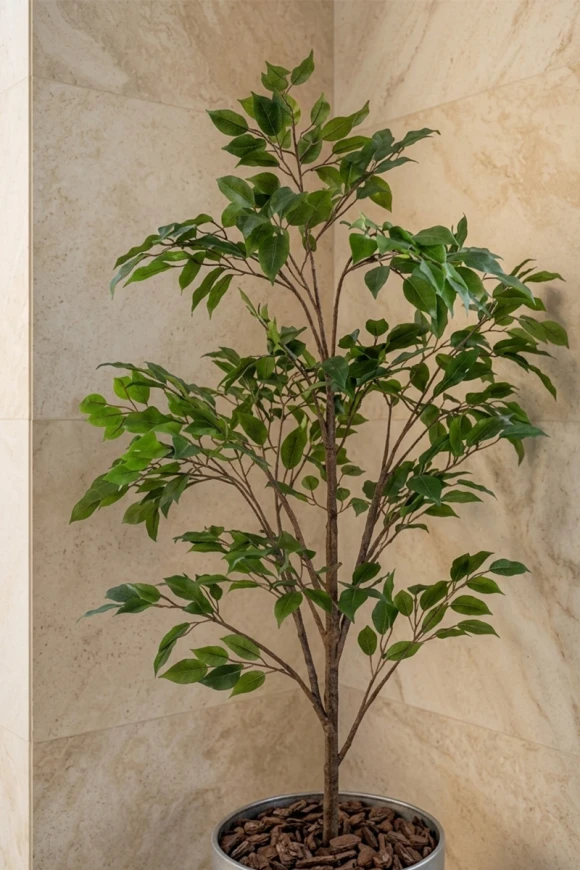 Outdoor Artificial Ficus Tree in Silver Buxley Pot - 140cm