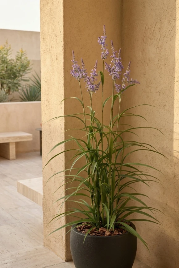 Outdoor Artificial Lavender Grass in Black Easington Pot - 170cm