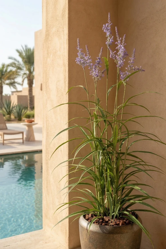 Outdoor Artificial Lavender Grass in Mocha Earle Dumpy Pot - 170cm