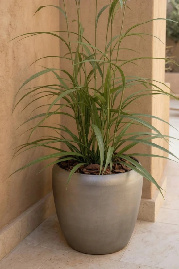 Outdoor Artificial Lavender Grass in Slate Earle Dumpy Pot - 170cm