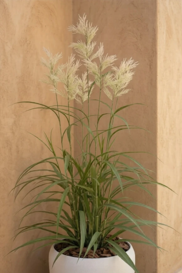 Outdoor Artificial Switchgrass in White Easington Pot - 170cm