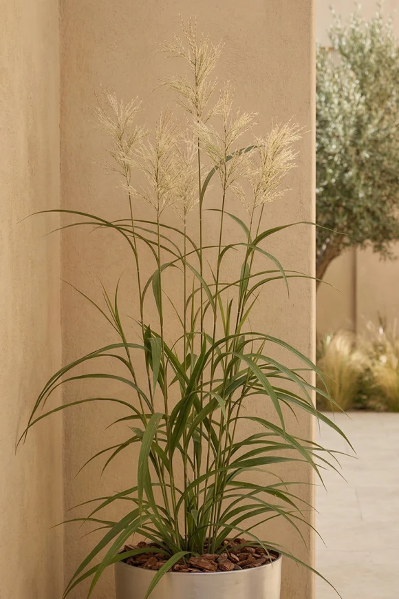 Outdoor Artificial Switchgrass in Silver Buxley Pot - 170cm