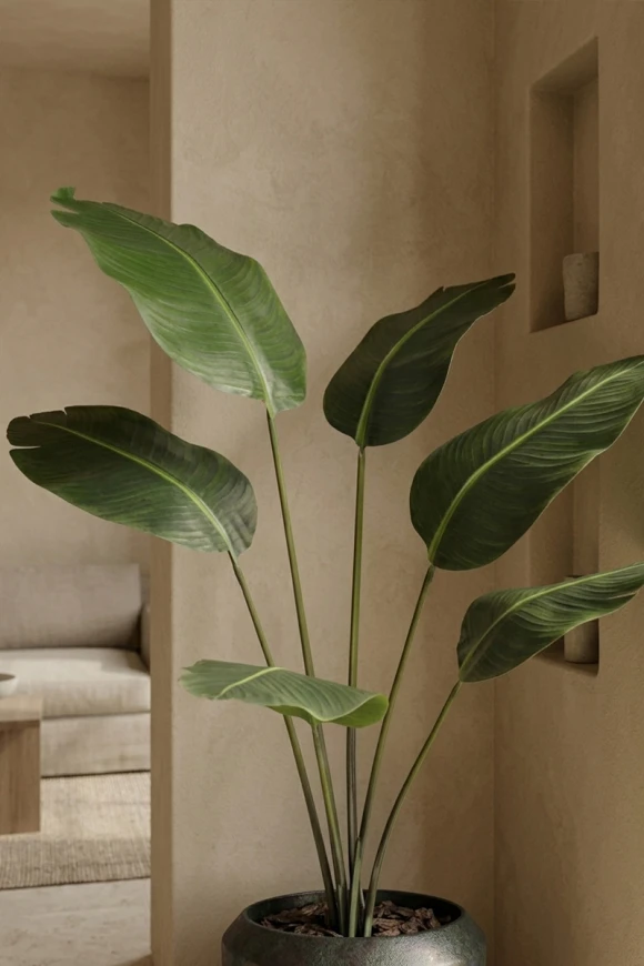 Artificial Traveller Palm in Mocha Earle Dumpy Pot - 170cm