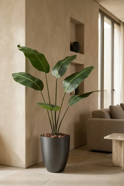 Artificial Traveller Palm in Charcoal Buxley Pot - 170cm