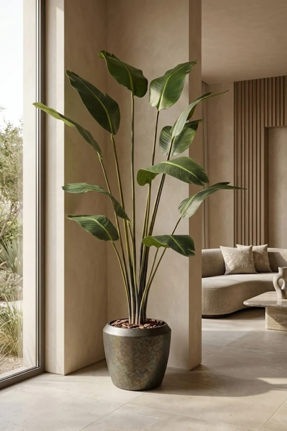 Artificial Traveller Palm in Mocha Earle Dumpy Pot - 230cm