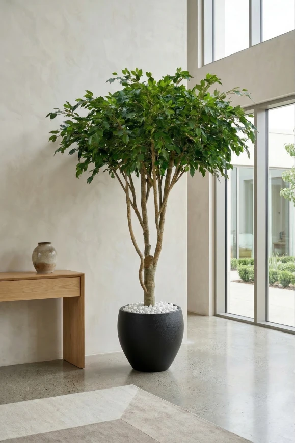 Artificial Ficus Tree in Black Easington Pot - 270cm