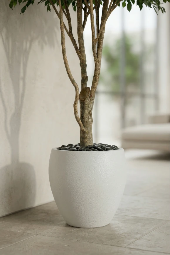 Artificial Ficus Tree in White Easington Pot - 270cm