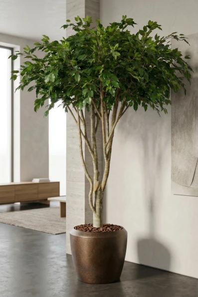 Artificial Ficus Tree in Earle Mocha Dumpy Pot - 270cm
