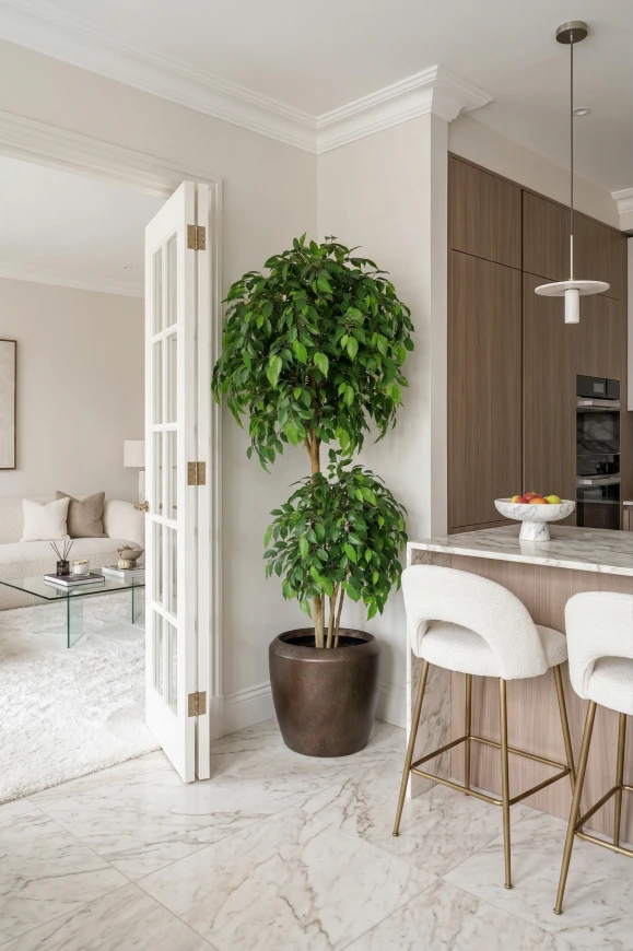 Artificial Ficus Double Ball in Mocha Earle Dumpy - 185cm