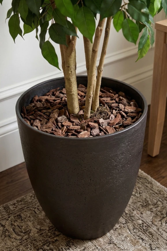 Artificial Ficus Double Ball in Charcoal Buxley - 185cm
