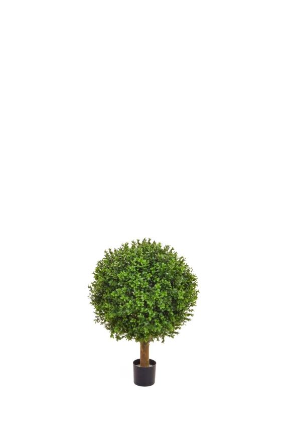Image of Topiary Buxus Ball 50cm UV