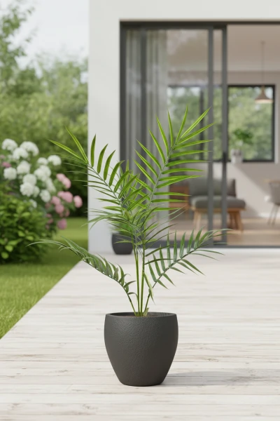 Image of Outdoor Areca Palm in Easington Pot - 84cm